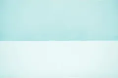 池田晶紀 写真作品　series "DOUBLE NATURE" 「SAUNA」#56